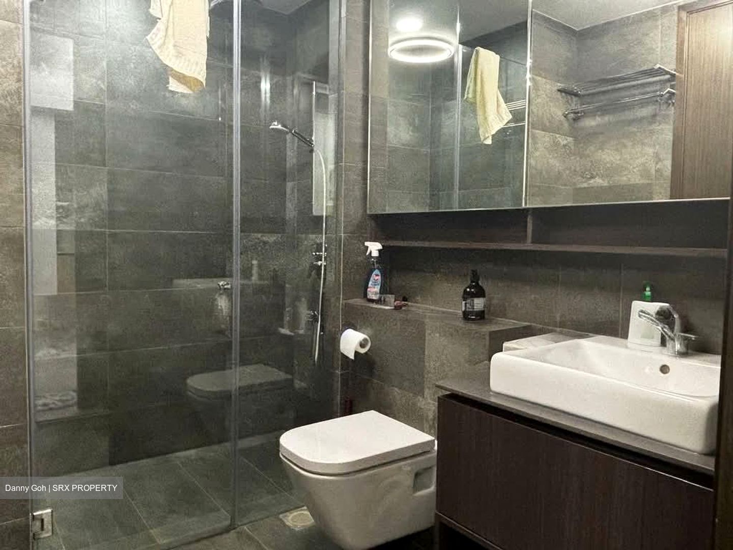 Grandeur Park Residences (D16), Condominium #570245021
